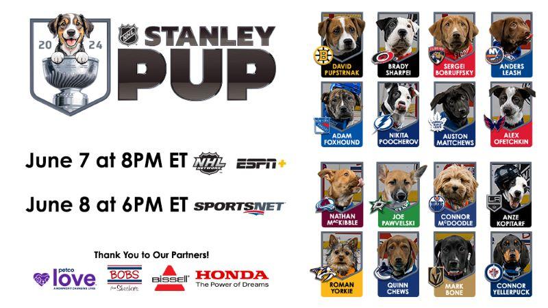 Image of ‘Stanley Pup’ Rescue Dog Competition to Debut June 7 on NHL Network and ESPN+; June 8 on Sportsnet 
