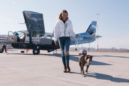 Image of Petco Love, Skechers, and Dog Is My CoPilot Fly Pets to Loving Homes