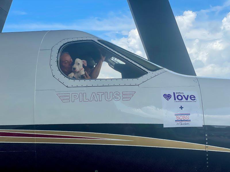 Image of Petco Love, Bobs From Skechers™, And Wings Of Rescue Unite In Hurricane Idalia Flight Missions 